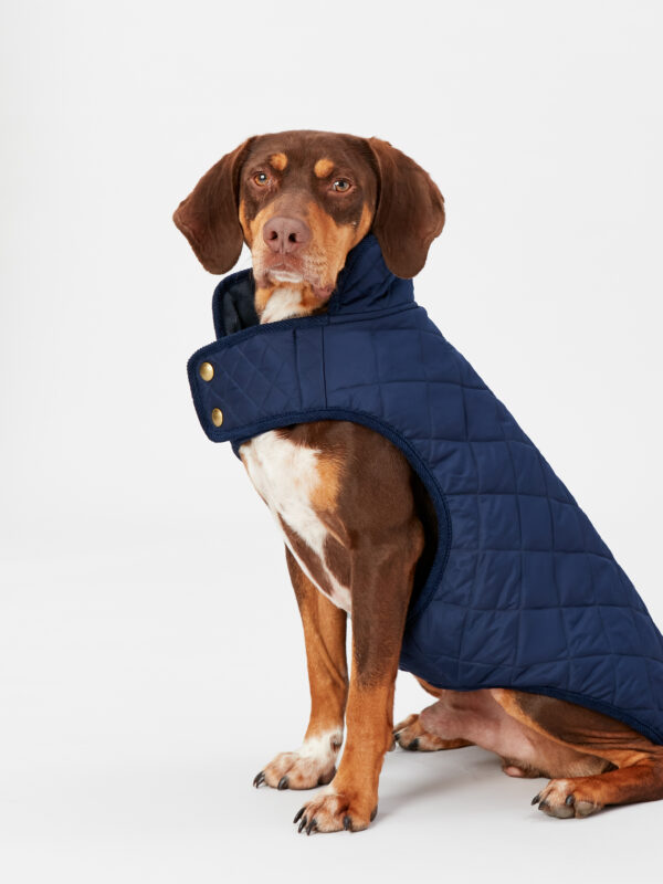 Joules - Navy Quilted Dog Coat