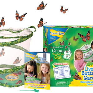 Insect Lore - Pop Up Butterfly Garden 30cm