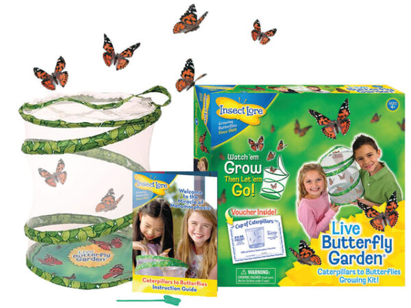 Insect Lore - Pop Up Butterfly Garden 30cm