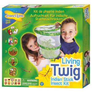 Insect Lore - Living Twig Stick Insect Kit
