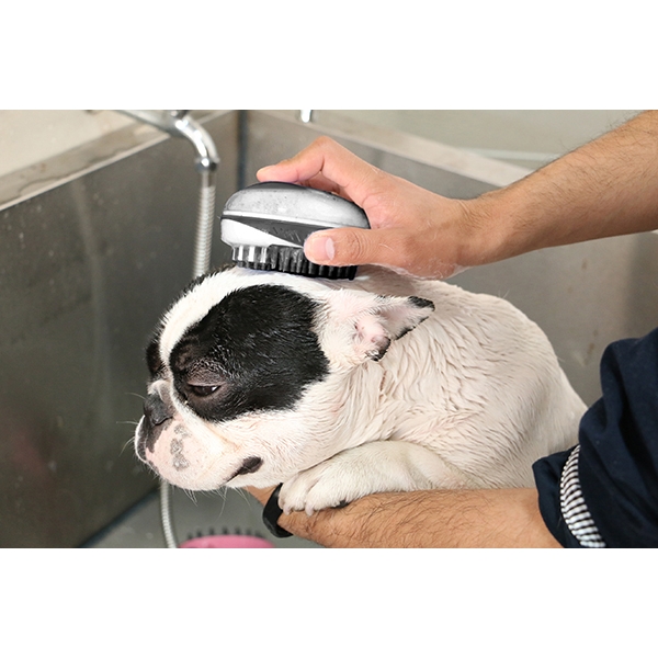 Soft Protection 2 in 1 Bath & Groom Brush