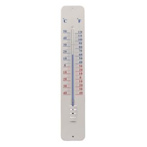 Fallen Fruits - Wall Thermometer