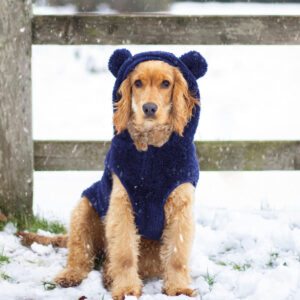 Dog Teddy Bear Hoddie