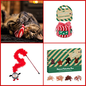 Cat Christmas Treat Selection Box. Plus 2 Christmas Cat Toys.